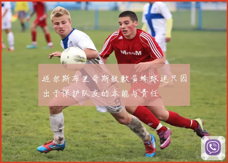 迈尔斯布里奇斯致歉黄蜂球迷只因出于保护队友的本能与责任